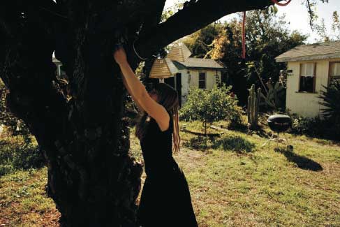 EmilyWhite_am_Baum.jpeg EmilyWhite_am_Baum.jpeg